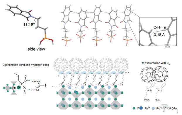 王植平团队提出“分子刹车”策略提升钙钛矿太阳能电池性能