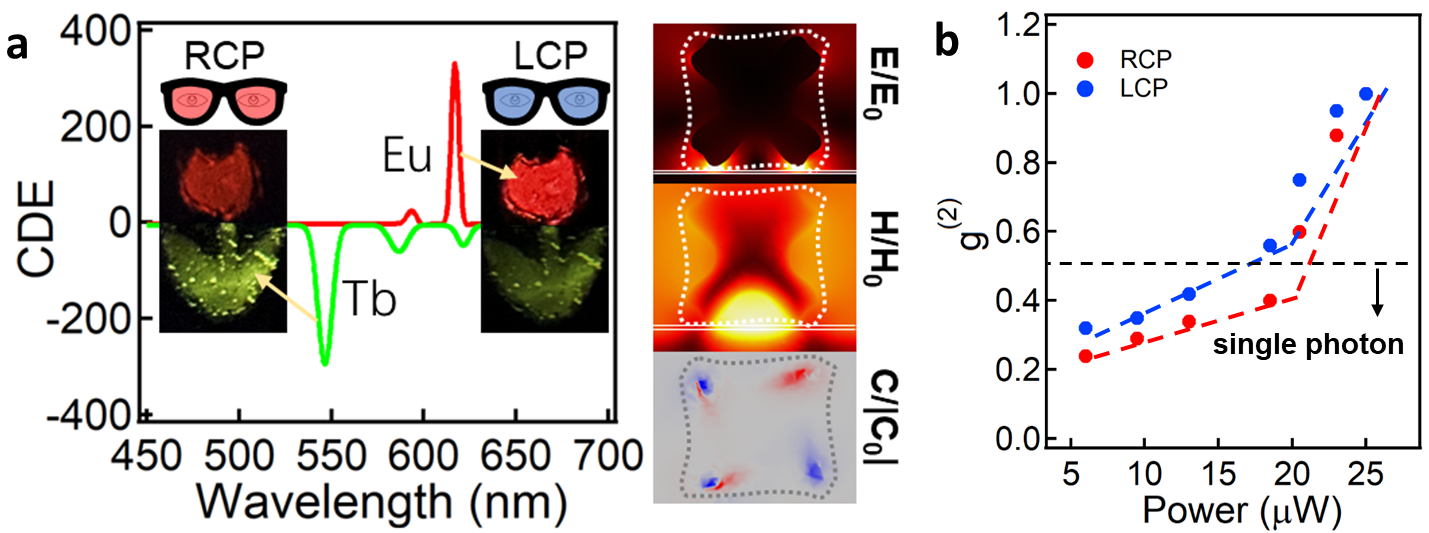 丁涛课题组在等离激元增强圆偏发光机制与器件应用方面取得系列进展