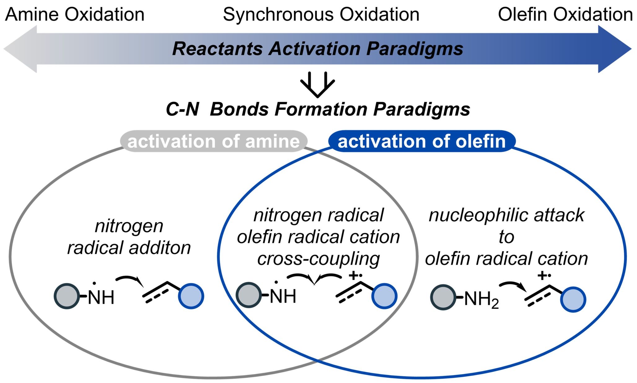 易红/雷爱文/戚孝天团队在电化学氧化C–N键形成反应机理路径及选择性解析取得新进展