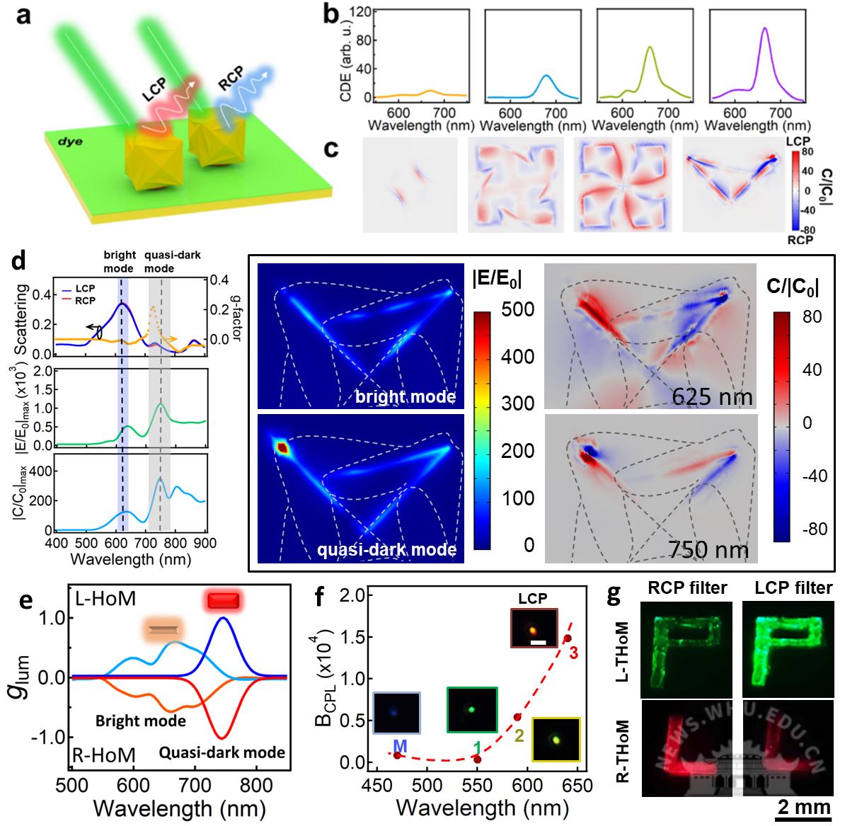 武汉大学丁涛课题组在等离激元增强圆偏发光机制与器件应用方面取得系列进展
