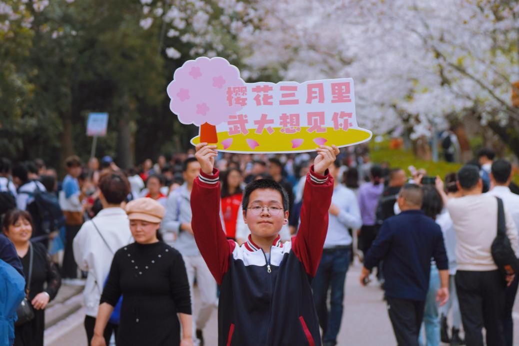【珞珈沃土育英才】武汉大学举办高中生赏樱专场活动