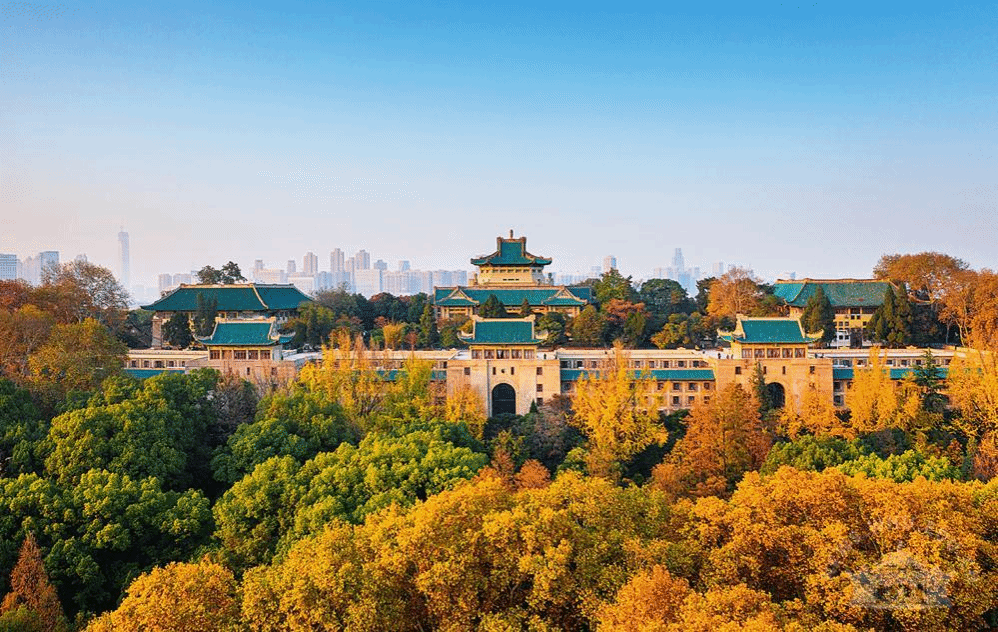 新华社专访党委书记黄泰岩:答好核心课题68担好重中之重-武汉大学