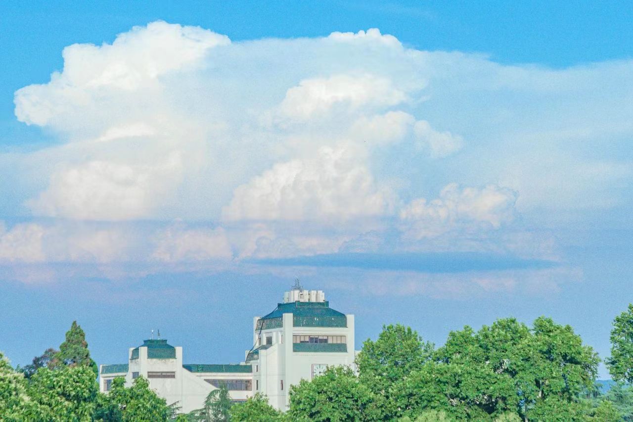 武大重磅推出数智教育系列课程,人人可学!