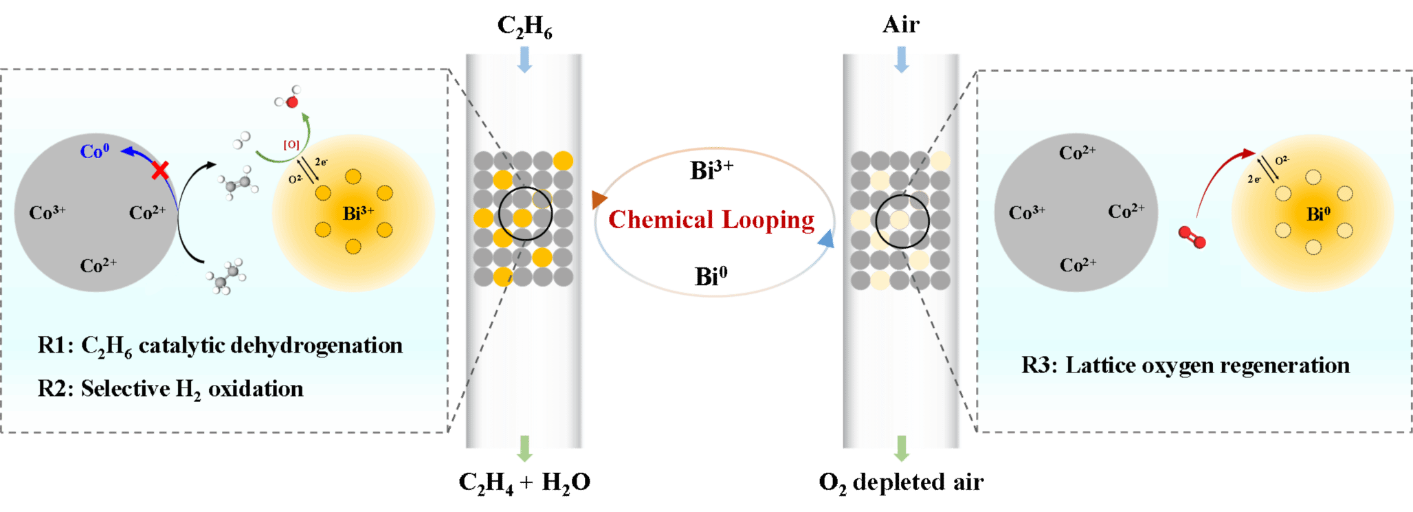 定明月团队在化学链乙烷氧化脱氢领域取得新进展