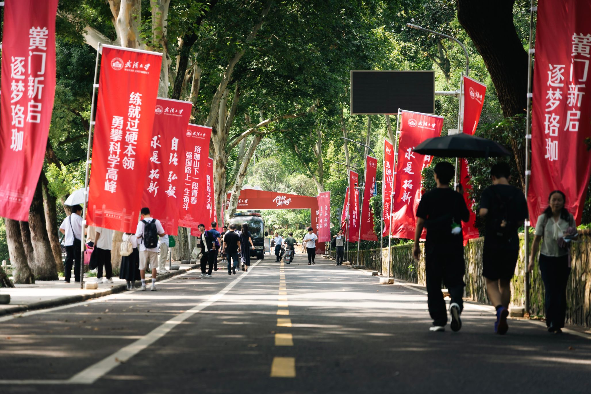 武汉大学新生报到:你好,新同学!