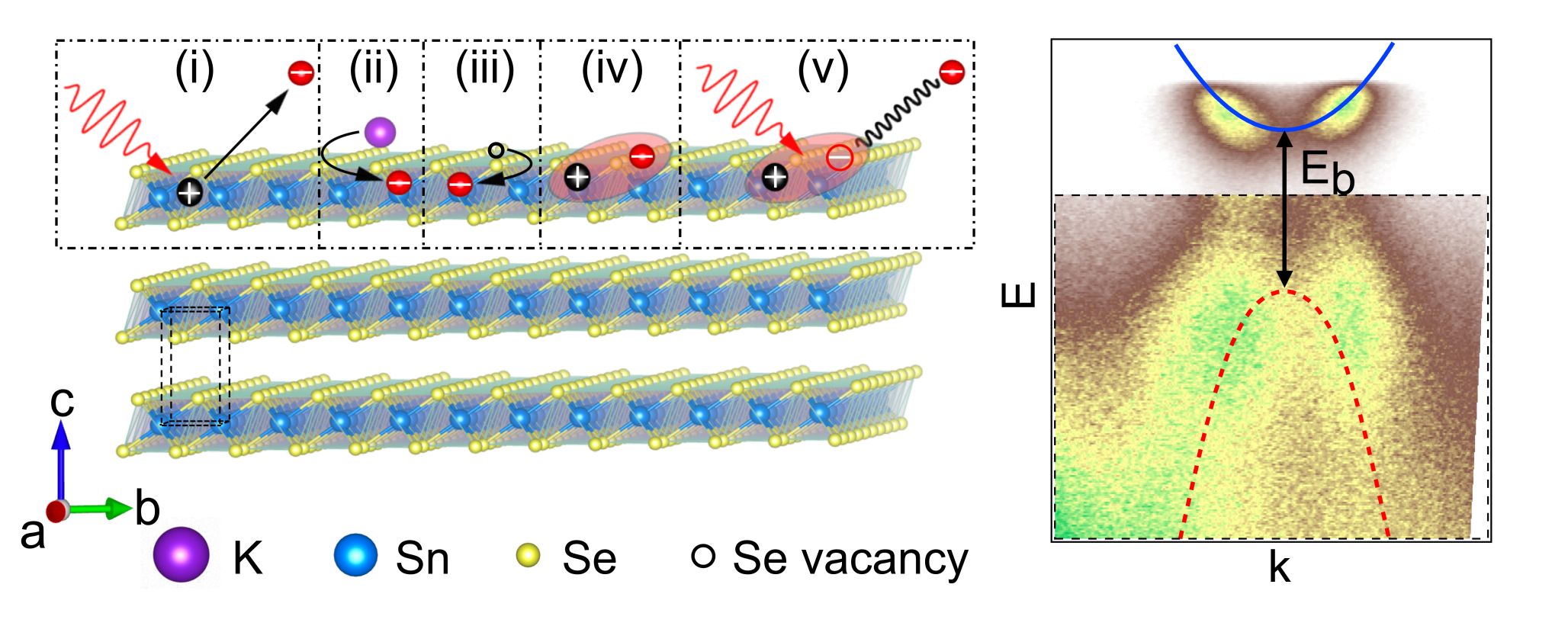 徐楠团队在半导体稳态暗激子研究中取得重要进展