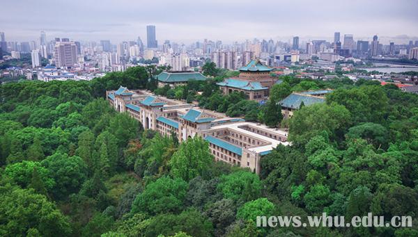 武汉学院全景图片