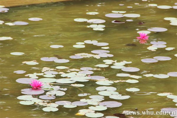 未标题-1 拷贝.jpg