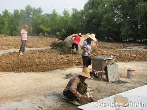 烈日下的杏林苑工地.jpg